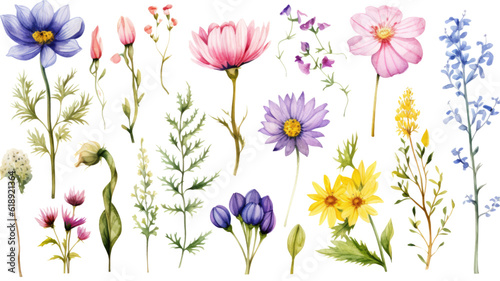 a collection of soft watercolor alpine flowers isolated on a transparent background  generative ai