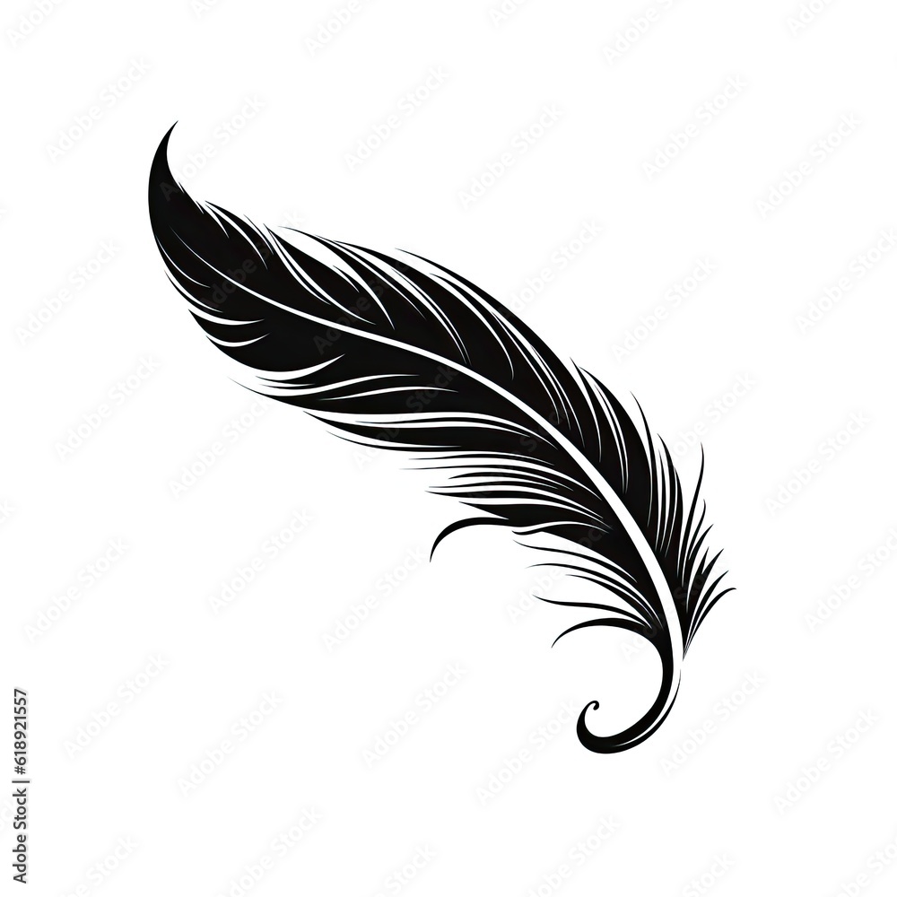 feather isolated on white background feather isolated on white background