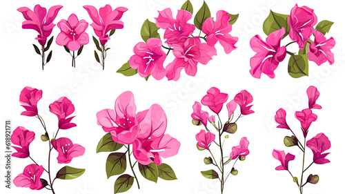 collection of hand drawn bougainvillea flowers isolated on a transparent background, generative ai