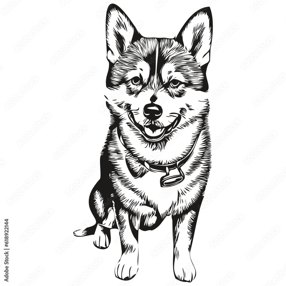 Shiba Inu dog pet silhouette, animal line illustration hand drawn black and white vector realistic breed pet