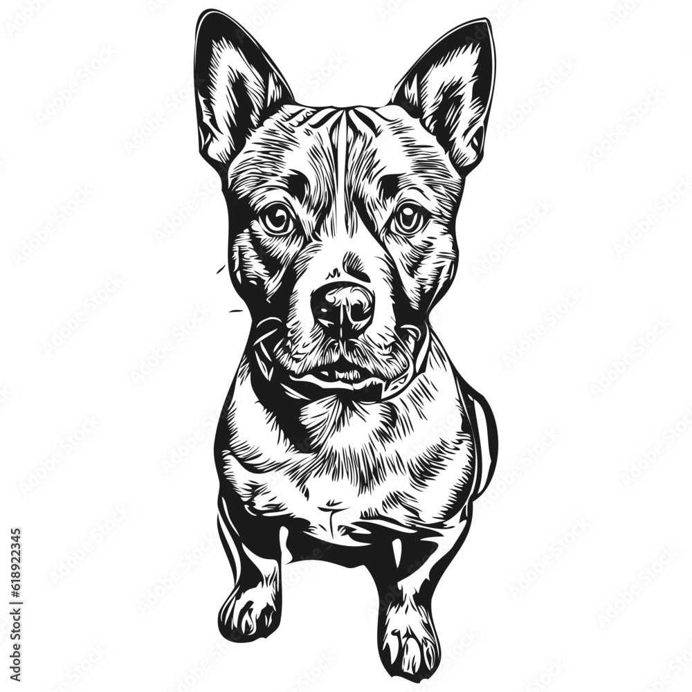 Staffordshire Bull Terrier dog outline pencil drawing artwork, black character on white background realistic breed pet