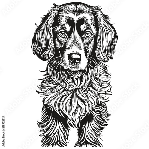 Spaniel Boykin dog silhouette pet character, clip art vector pets drawing black and white realistic breed pet