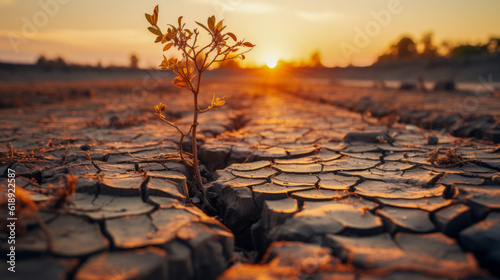 Dry Times: A haunting account of the drought. A plant struggles to survive. This image expresses the severity of the drought, the effects of climate change and the environmental problems.Generative AI