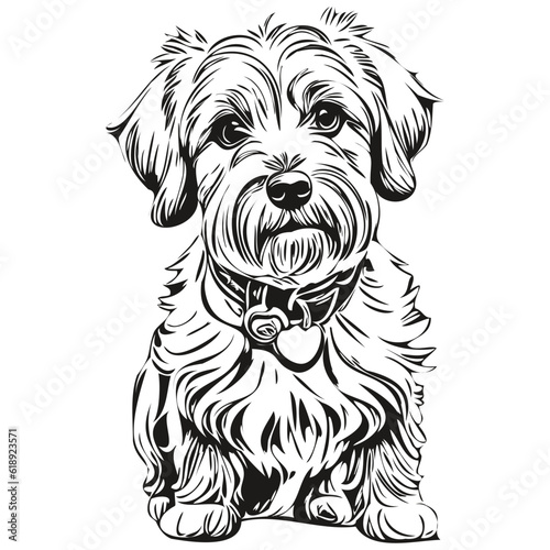 Dandie Dinmont Terriers dog head line drawing vector,hand drawn illustration with transparent background realistic breed pet
