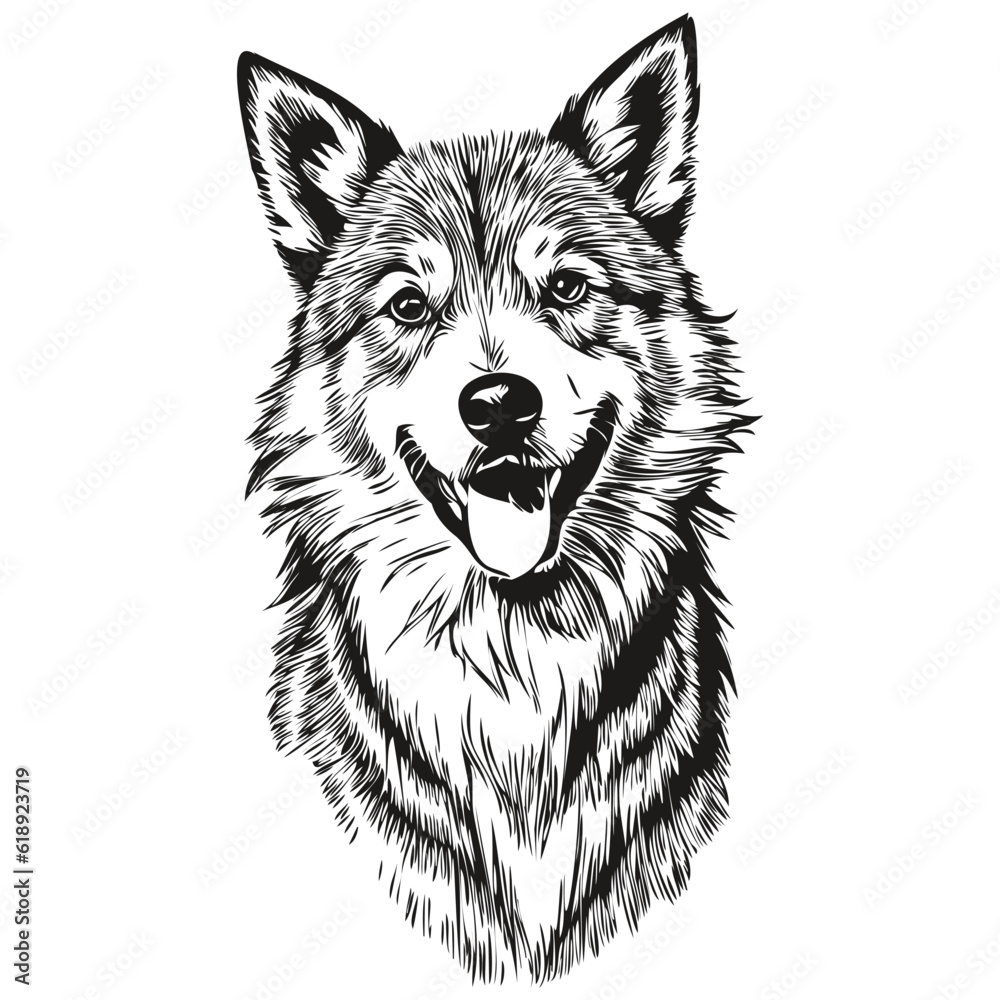 Icelandic Sheepdog dog breed line drawing, clip art animal hand drawing vector black and white Icelandic Sheepdog dog breed line drawing, clip art animal hand drawing vector black and white