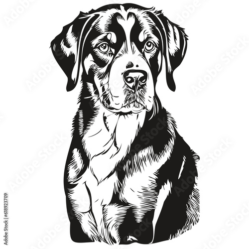 Greater Swiss Mountain dog engraved vector portrait, face cartoon vintage drawing in black and white