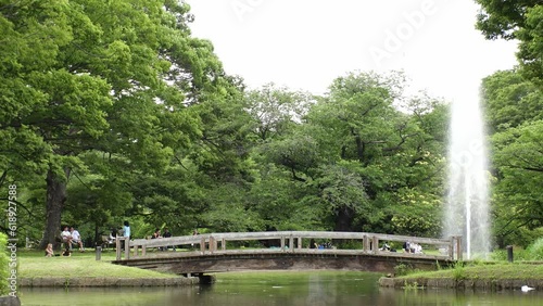SHIBUYA, TOKYO, JAPAN - JUNE 2023 : View of YOYOGI PARK in sunny daytime. City and nature concept 4K video.
