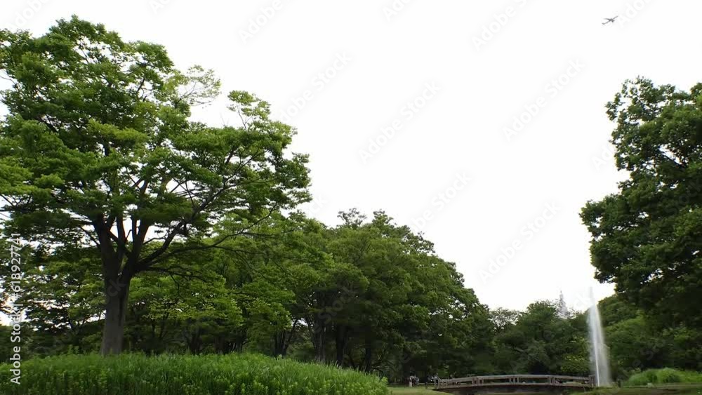 SHIBUYA, TOKYO, JAPAN - JUNE 2023 : View of YOYOGI PARK in sunny daytime. Time lapse shot. City and nature concept 4K video. SHIBUYA, TOKYO, JAPAN - JUNE 2023 : View of YOYOGI PARK in sunny daytime. Time lapse shot. City and nature concept 4K video.