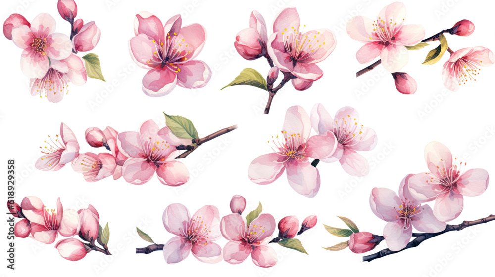 a collection of soft watercolor cherry blossoms flowers isolated on a transparent background, generative ai