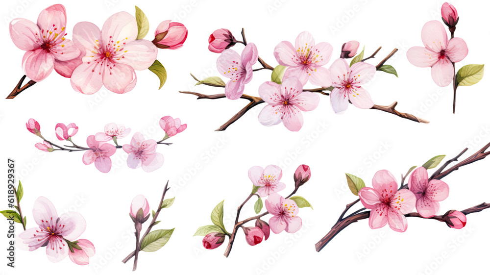 a collection of soft watercolor cherry blossoms flowers isolated on a transparent background, generative ai