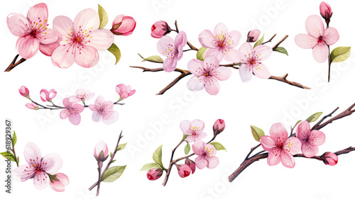 a collection of soft watercolor cherry blossoms flowers isolated on a transparent background  generative ai