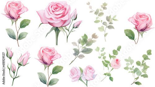 a collection of soft watercolor roses flowers isolated on a transparent background, generative ai