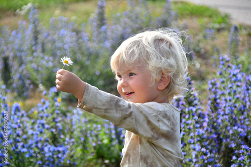 Outdoor portrait of little cute blond boy holding daisy flower
