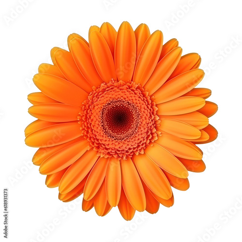 Gerbera flower isolated. Illustration AI Generative