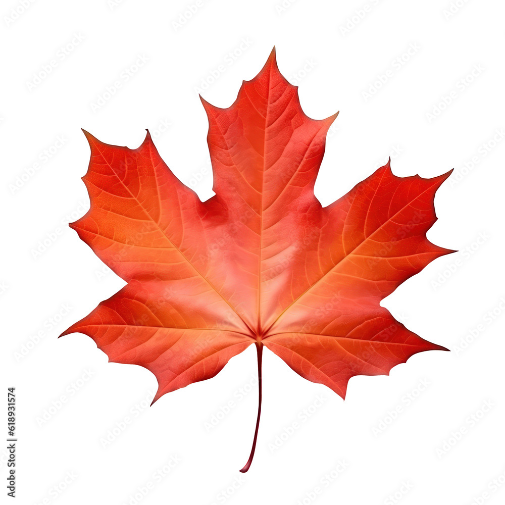 Naklejka premium Autumn leaf isolated. Illustration AI Generative.
