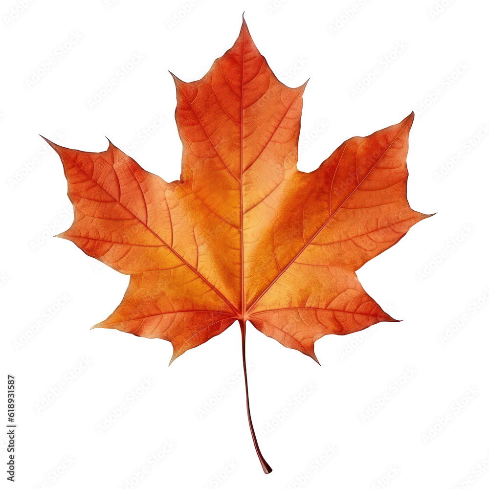 Autumn leaf isolated. Illustration AI Generative. Autumn leaf isolated. Illustration AI Generative.