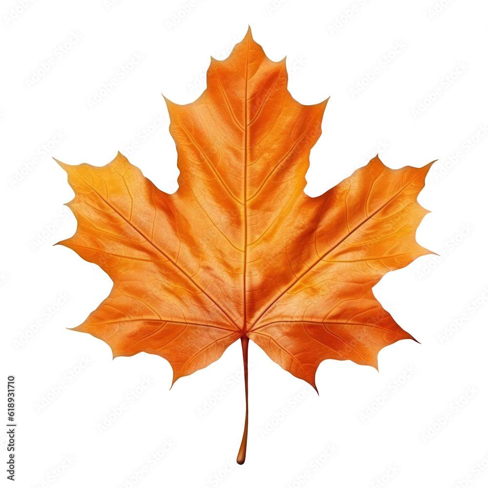 Obraz premium Autumn leaf isolated. Illustration AI Generative.