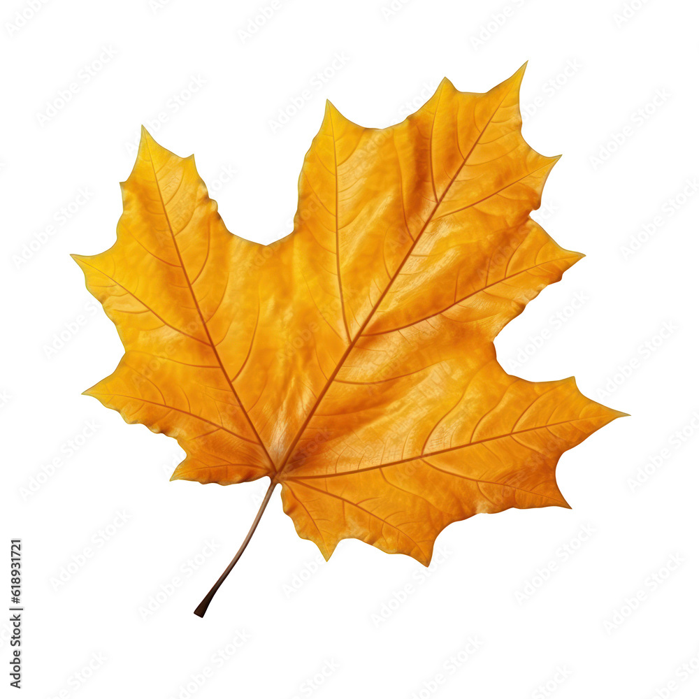 Autumn leaf isolated. Illustration AI Generative.