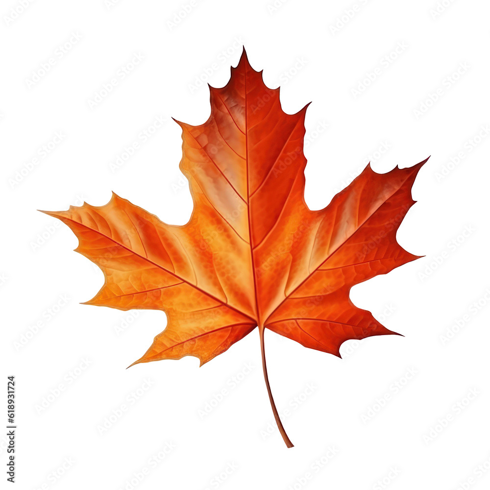Autumn leaf isolated. Illustration AI Generative. Autumn leaf isolated. Illustration AI Generative.