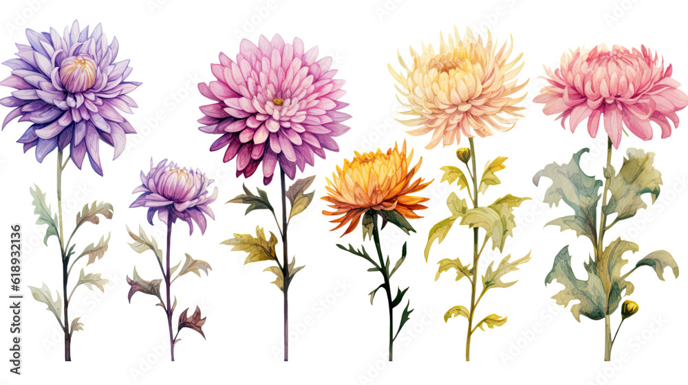a collection of grunge oil painted asters isolated on a transparent background, generative ai a collection of grunge oil painted asters isolated on a transparent background, generative ai