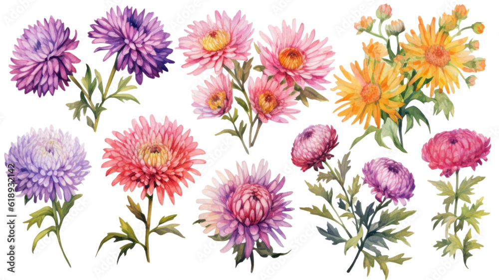 a collection of grunge oil painted asters isolated on a transparent background, generative ai a collection of grunge oil painted asters isolated on a transparent background, generative ai
