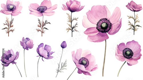 a collection of grunge oil painted anemones isolated on a transparent background  generative ai