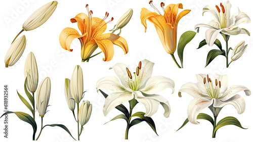 a collection of grunge oil painted lilies flowers isolated on a transparent background, generative ai