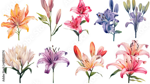 a collection of grunge oil painted lilies flowers isolated on a transparent background  generative ai