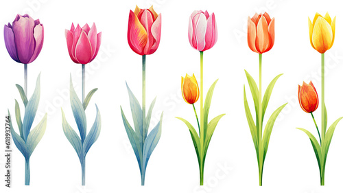 a collection of grunge oil painted tulips flowers isolated on a transparent background, generative ai