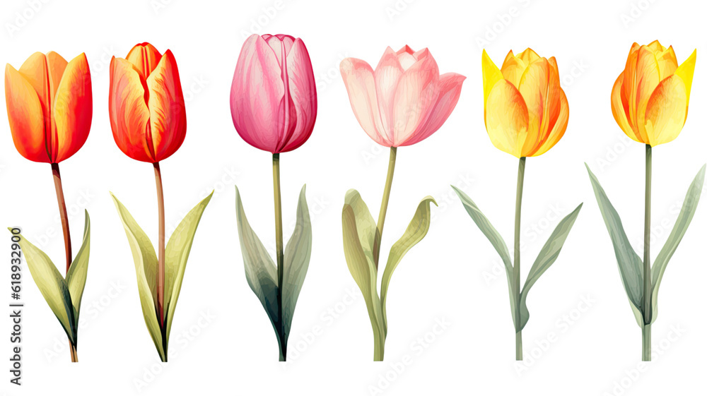 a collection of retro oil painted tulips flowers isolated on a transparent background, generative ai a collection of retro oil painted tulips flowers isolated on a transparent background, generative ai