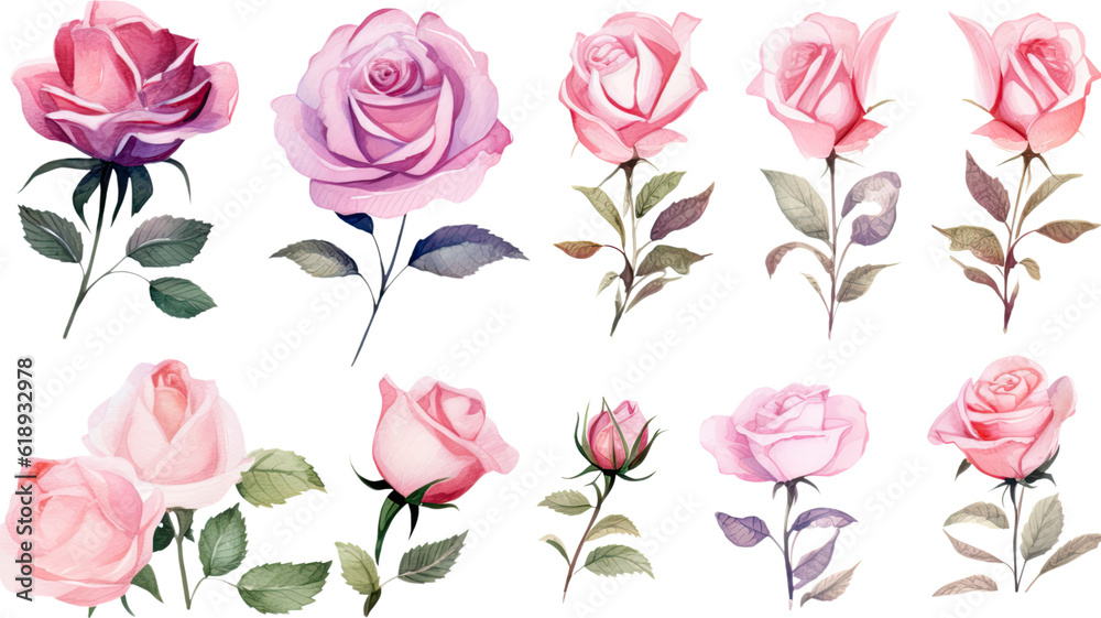 Fototapeta premium a collection of watercolor roses flowers isolated on a transparent background, generative ai