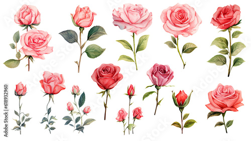 a collection of watercolor roses flowers isolated on a transparent background  generative ai