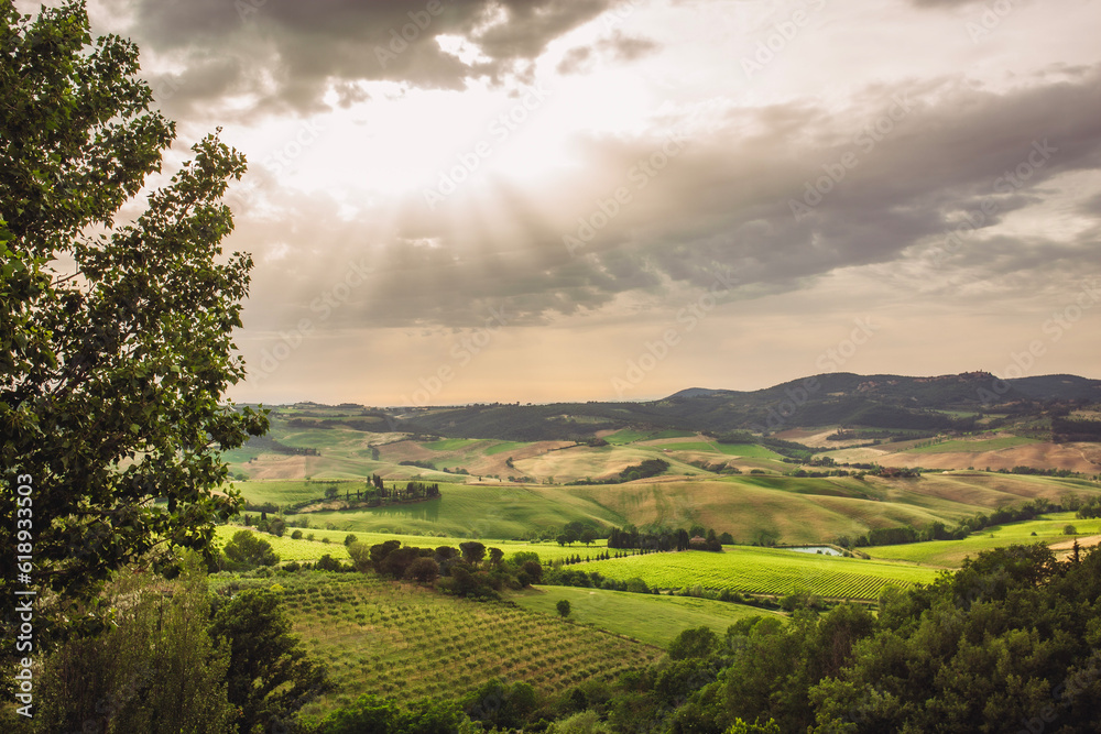 Naklejka premium Sunset in countryside of tuscany