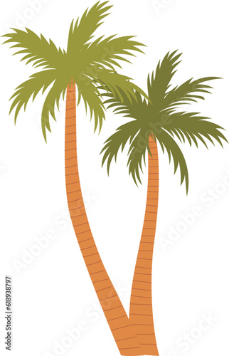 Palm tree on white background