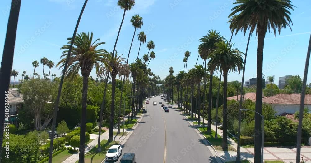 Aerial Drone View of Road with Palm Trees in Beverly Hills California USA