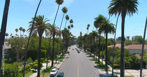 Aerial Drone View of Road with Palm Trees in Beverly Hills California USA