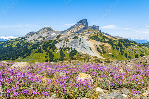 Black tusk mountain on a clear day