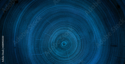 Detailed blue cut wood tree background with circle growth rings pattern