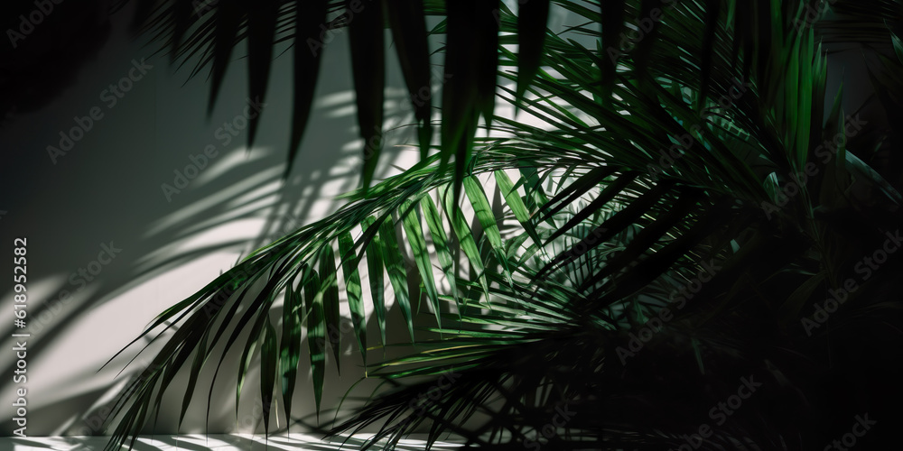 palm tree branches with natural light