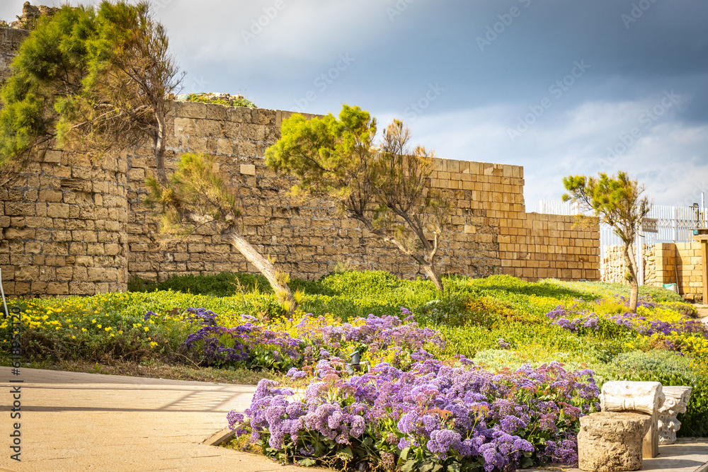 ruins of caesarea, israel, roman landmark, herod, historical, middle east