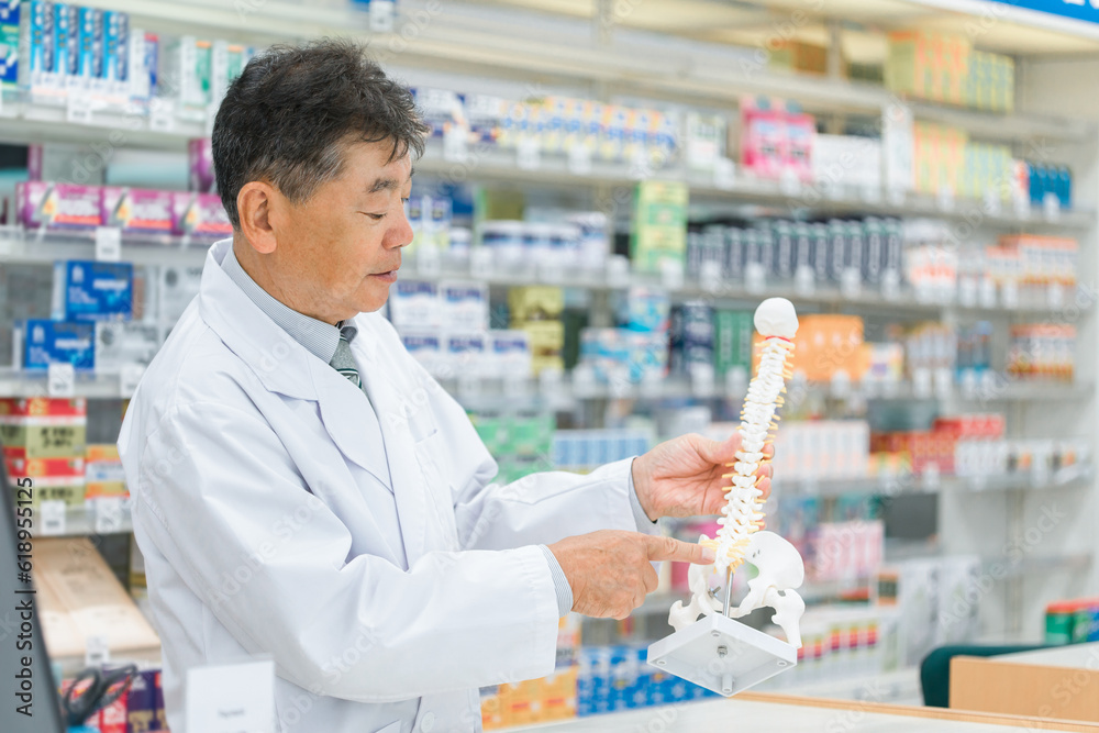 薬局で骨格模型を使って服薬指導する薬剤師・調剤師
薬局で骨格模型を使って服薬指導する薬剤師・調剤師