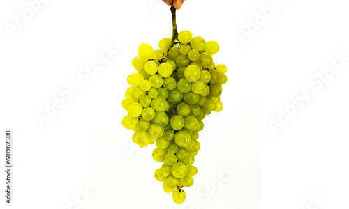 Hand holding a beautiful bunch green grape, isolated on white background