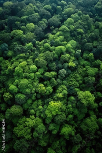 aerial view of a lush green forest, created with generative ai © Alfazet Chronicles