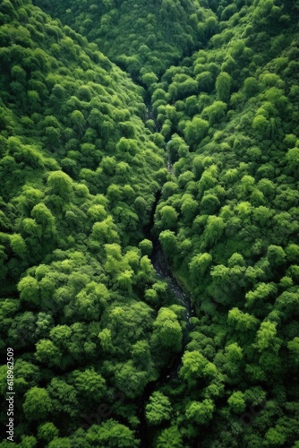 aerial view of lush green forest landscape, created with generative ai