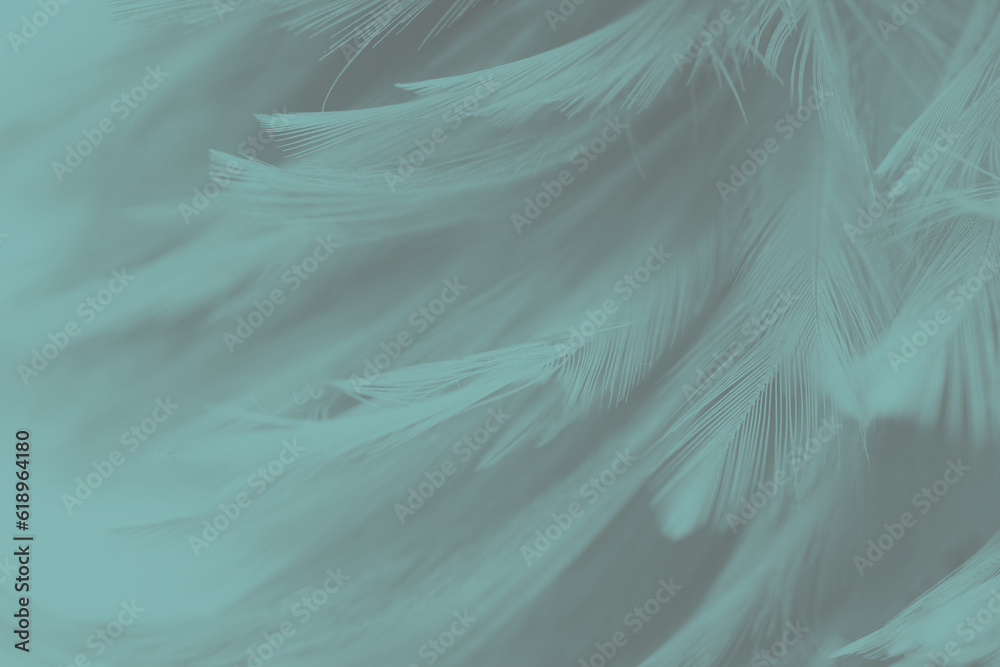 Beautiful green gray color trends feather texture background Beautiful green gray color trends feather texture background