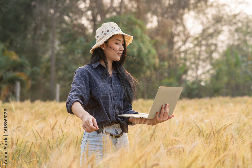 Farmer giving advice on wheat work online on tablet in wheat field