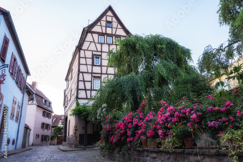 Alsatian half timbered houses in colmar