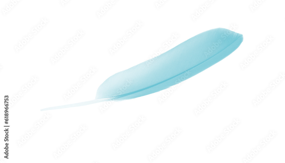 feather color turquoise emerald green isolated on white background feather color turquoise emerald green isolated on white background