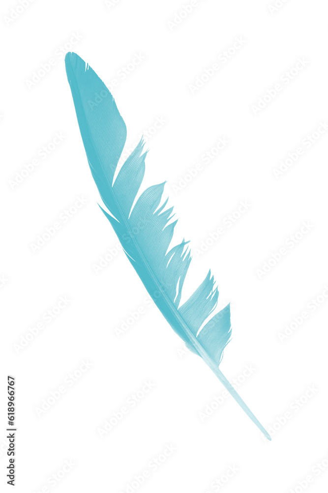 feather color turquoise emerald green isolated on white background