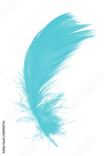 feather color turquoise emerald green isolated on white background